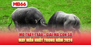 mơ thấy trâu